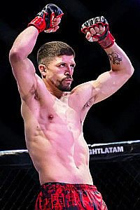 Lukas Briceno Aravena