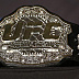 Jon Jones' UFC 205-pound championship belt